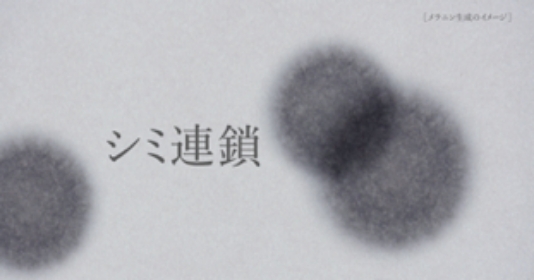 F.A.G.E TVインフォマーシャル